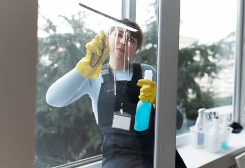 Nettoyage de vitres intérieures et extérieures à Lézigneux